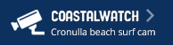 Coastalwatch web cam